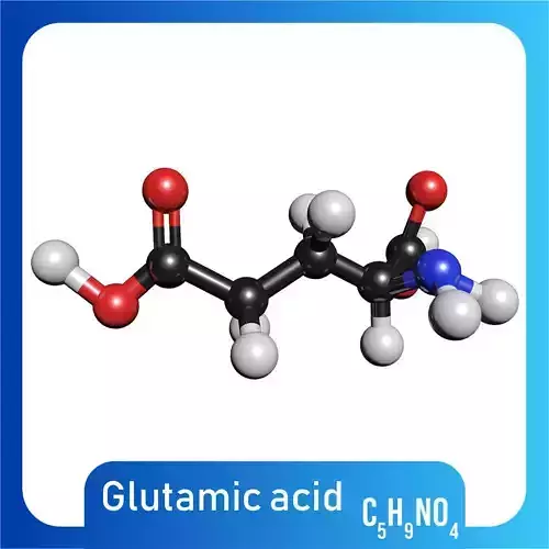 Glutamic acid 3D Model C5H9NO4