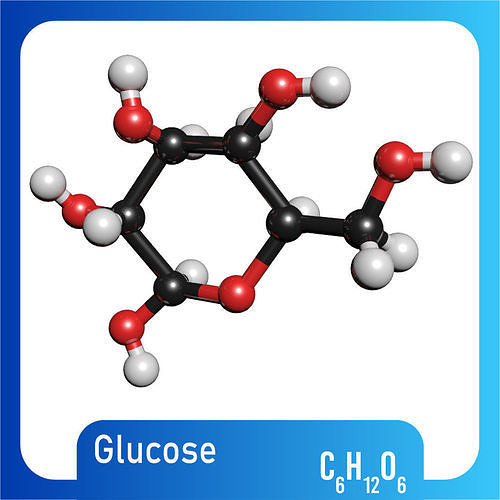 Glucose 3D Model C6H12O6 3D model