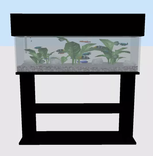 Aquarium with fish Free 3D model