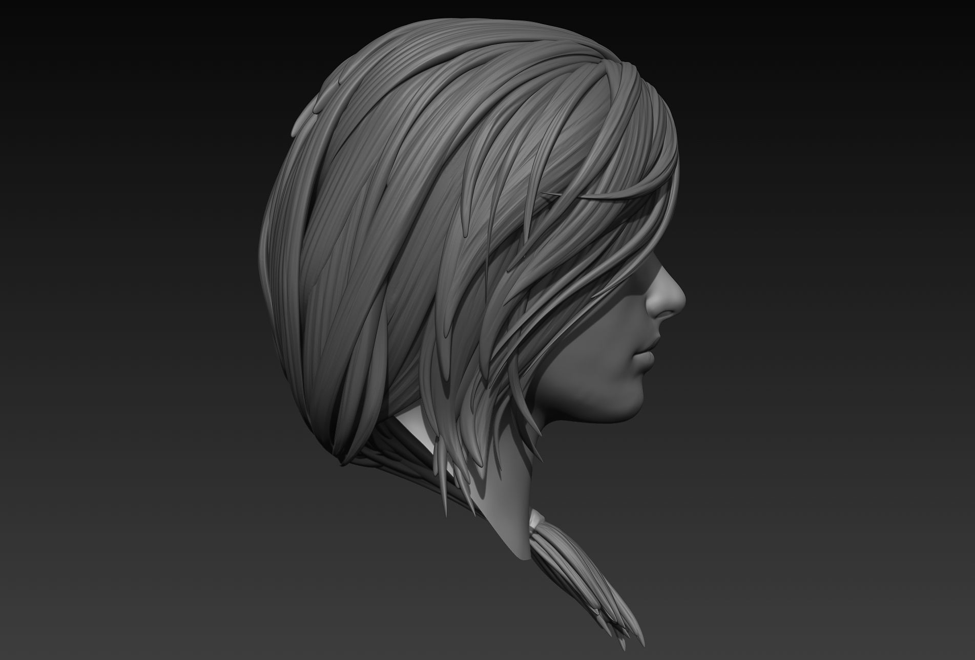 Hair 16 3D model_5