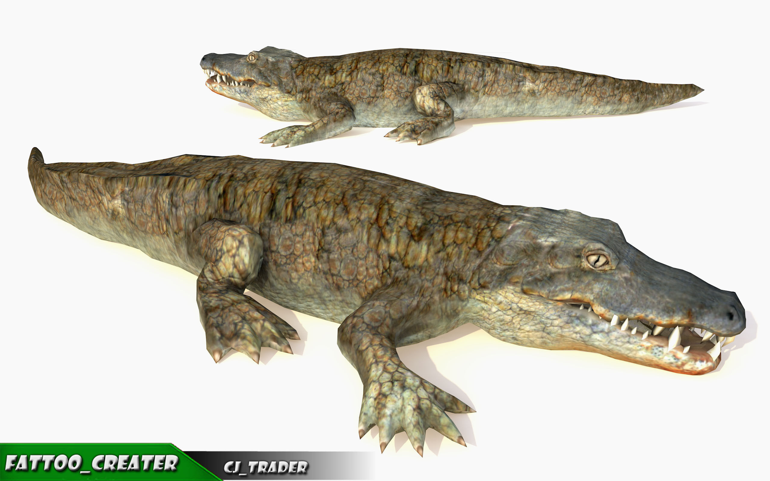 Crocodile Rig Animated LowPoly 3d model Low-poly 3D model_1
