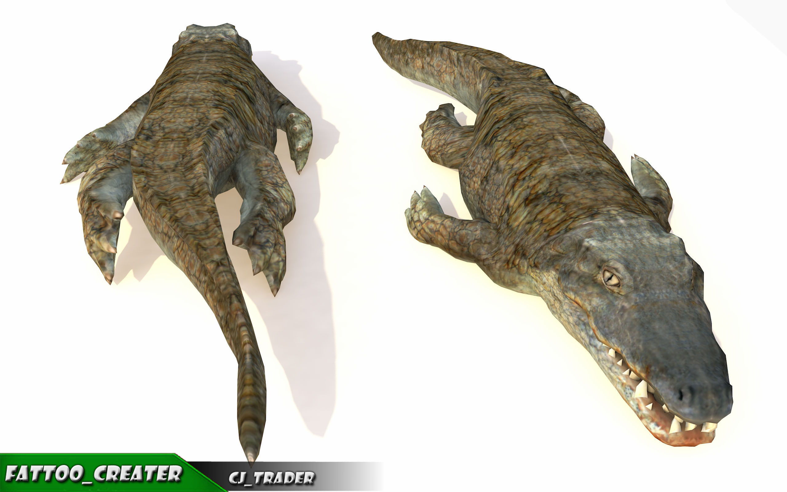 Crocodile Rig Animated LowPoly 3d model Low-poly 3D model_4