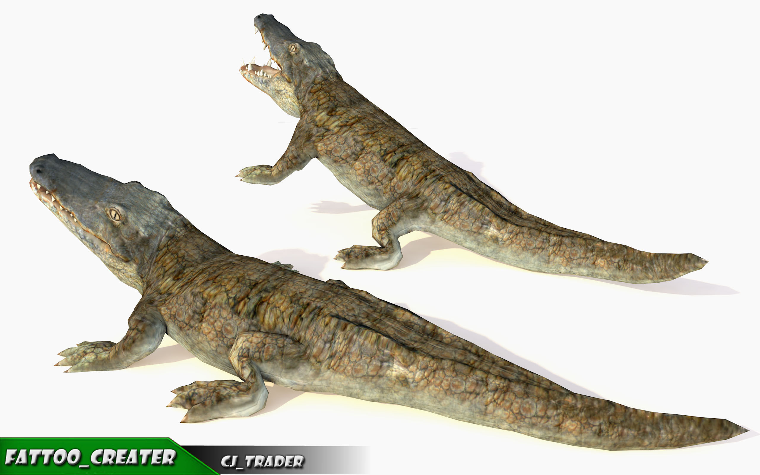 Crocodile Rig Animated LowPoly 3d model Low-poly 3D model_2