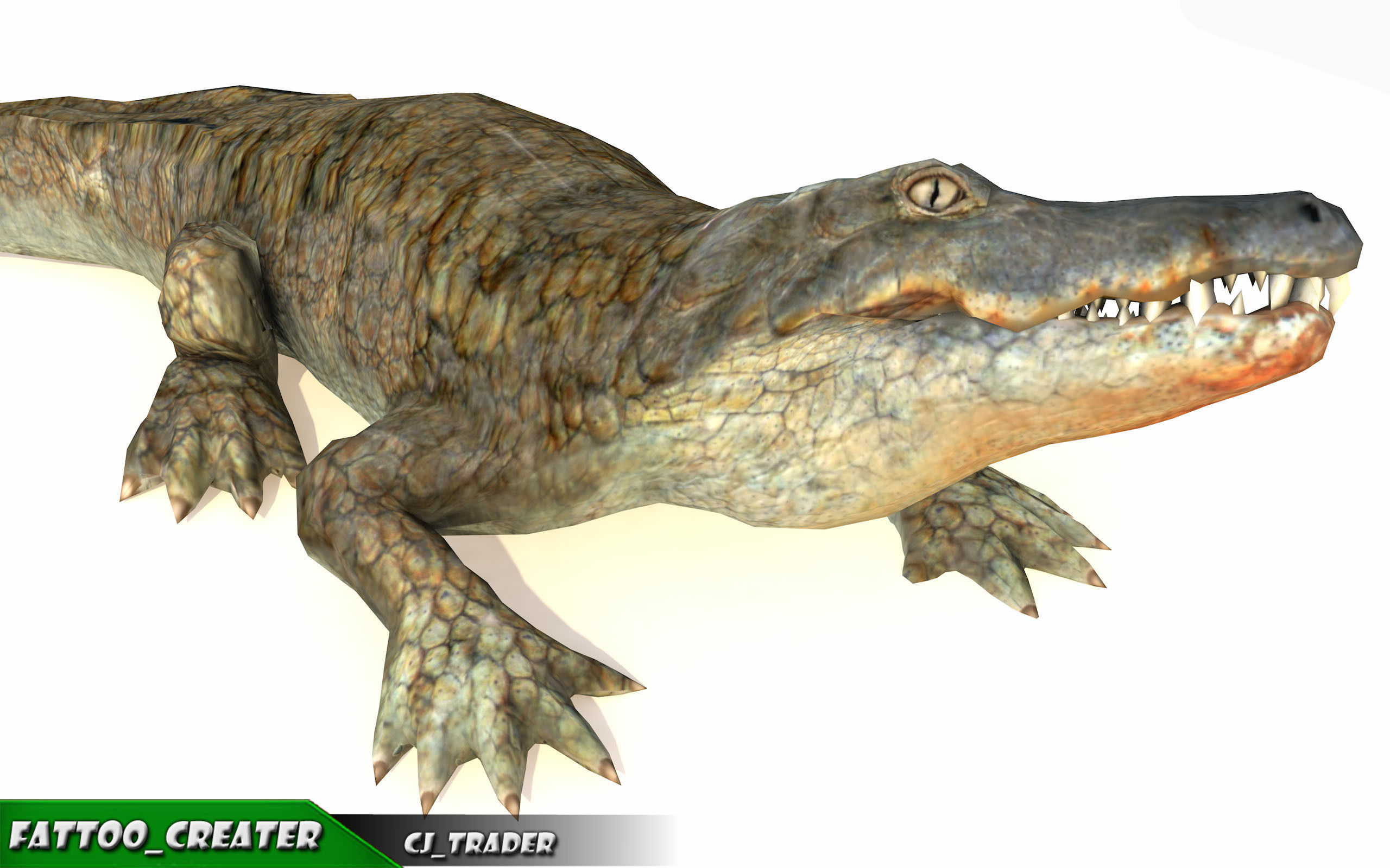 Crocodile Rig Animated LowPoly 3d model Low-poly 3D model_5