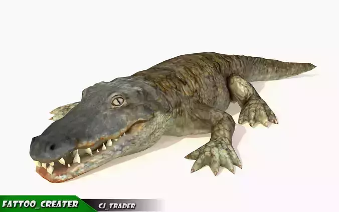 Crocodile Rig Animated LowPoly 3d model Low-poly 3D model