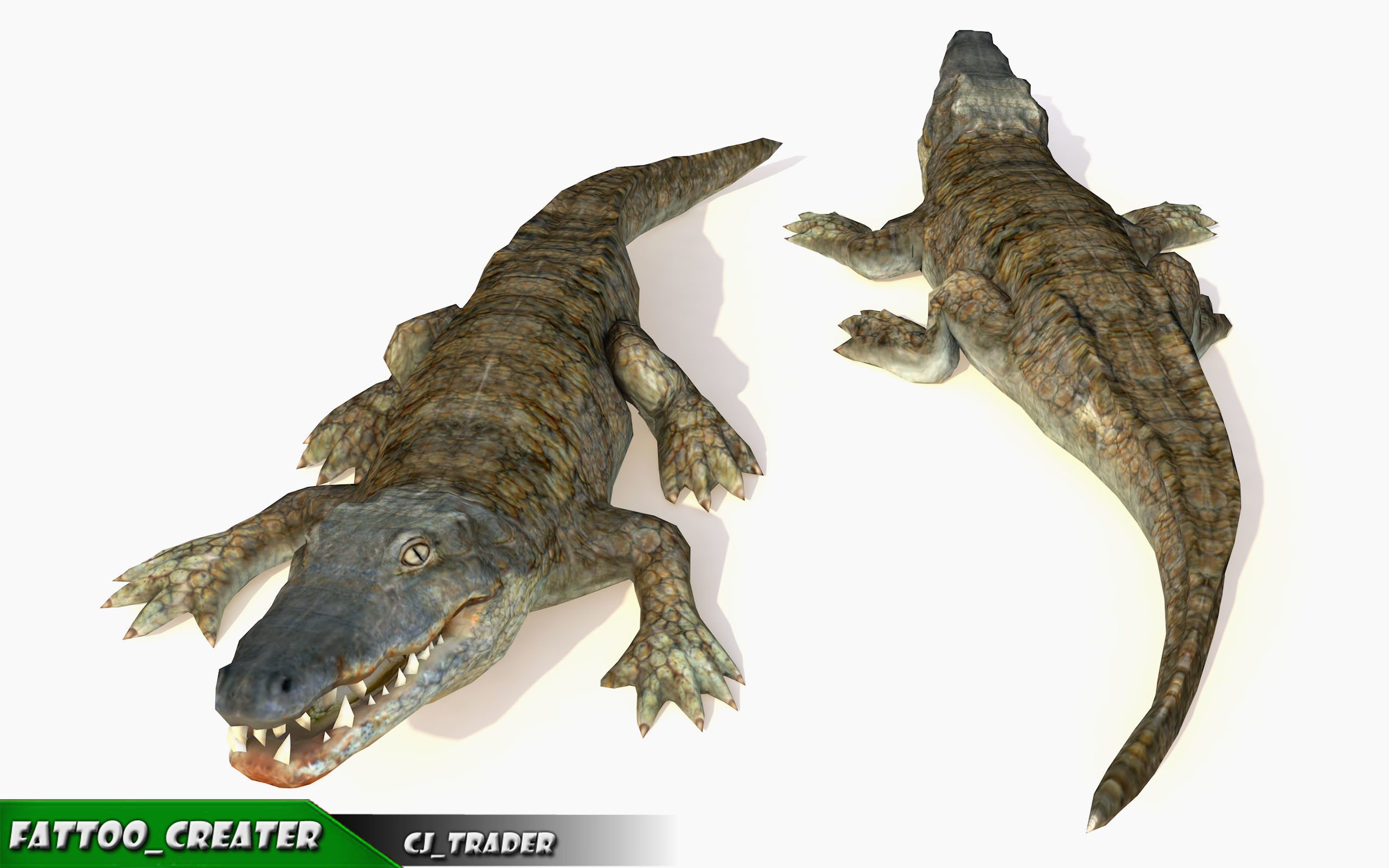 Crocodile Rig Animated LowPoly 3d model Low-poly 3D model_3