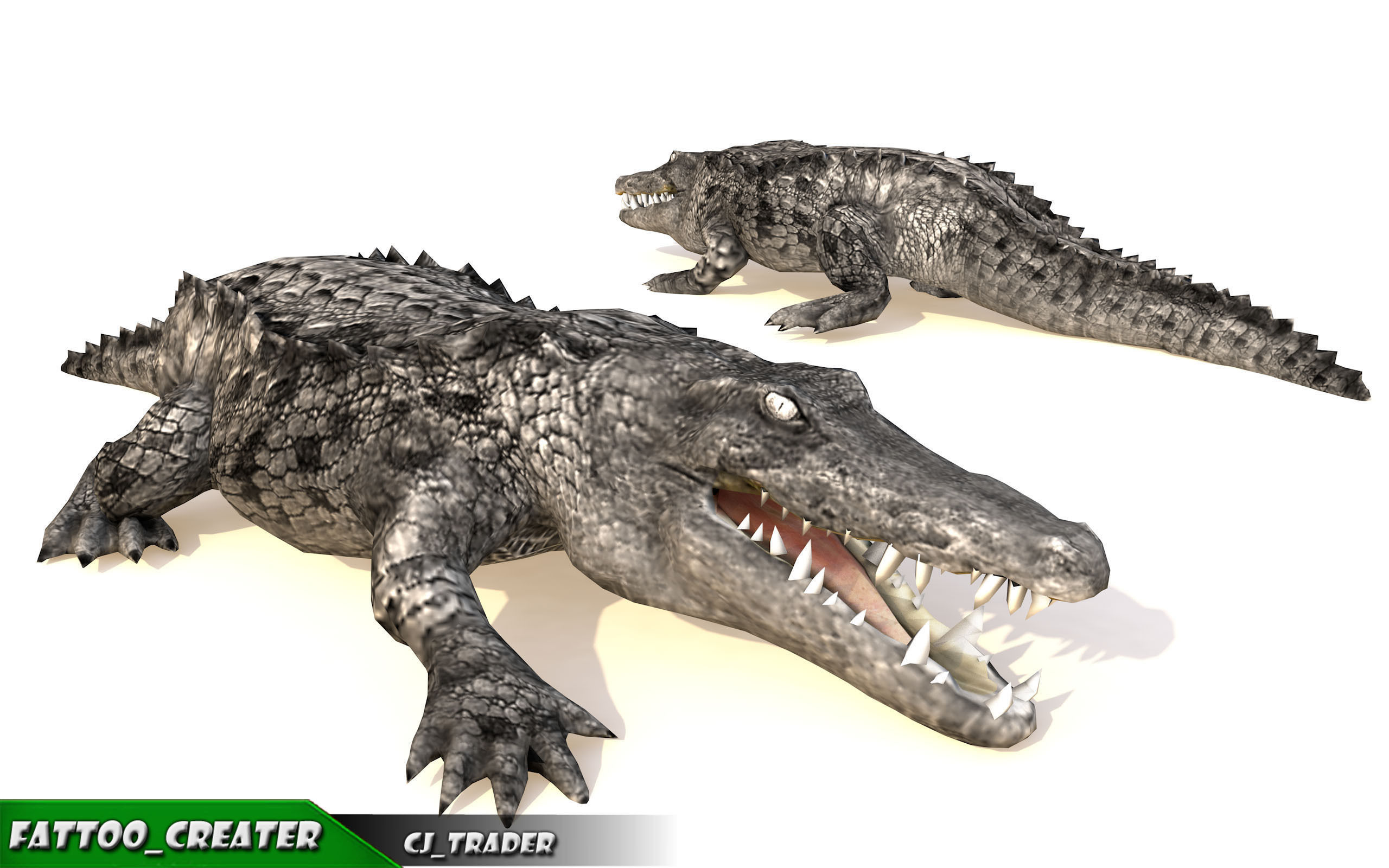 LowPoly Crocodile Rigged 3d model Low-poly 3D model_3