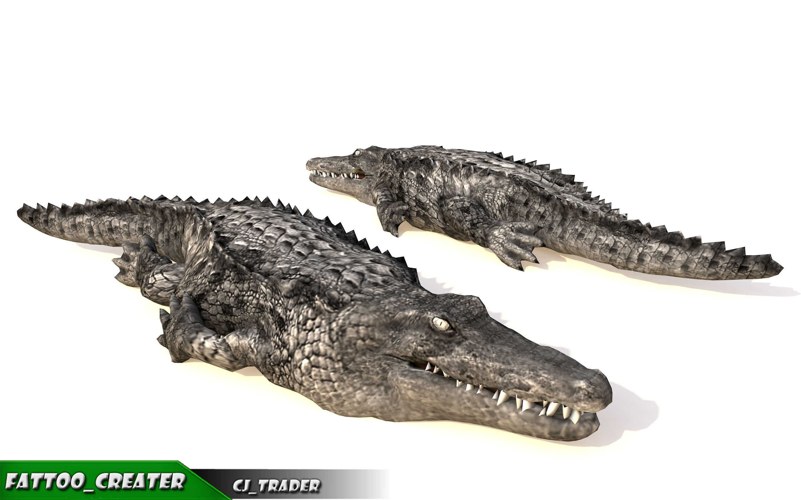 LowPoly Crocodile Rigged 3d model Low-poly 3D model_4