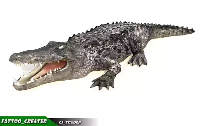 LowPoly Crocodile Rigged 3d model Low-poly 3D model