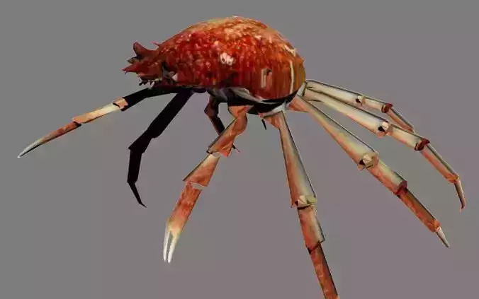 CRAB LOW POLY spider with long legs