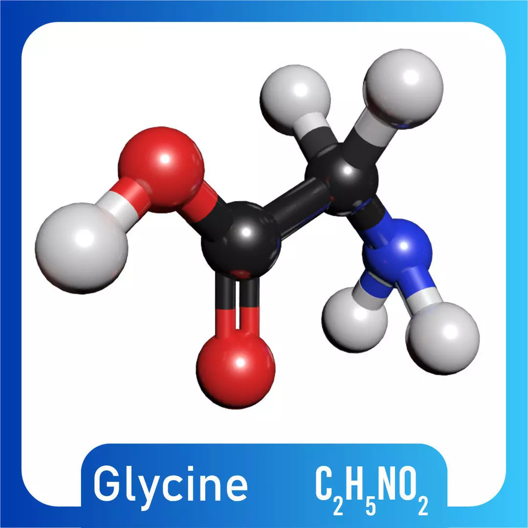Glycine C2H5NO2 3D model