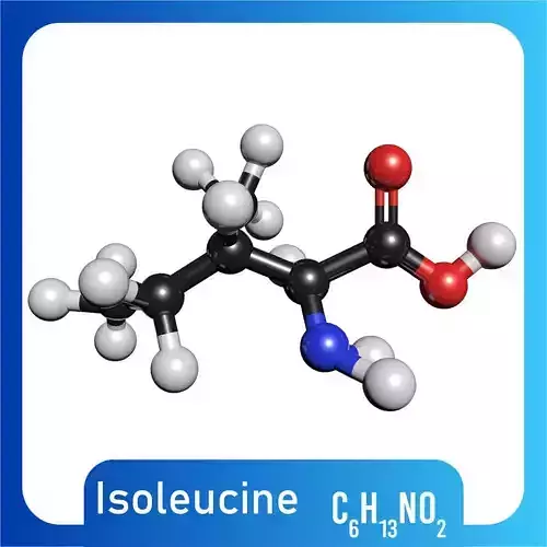 Isoleucine C6H13NO2