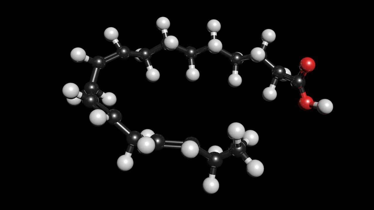 lenolenic Acid 3D Model C18H30O2 3D model_1