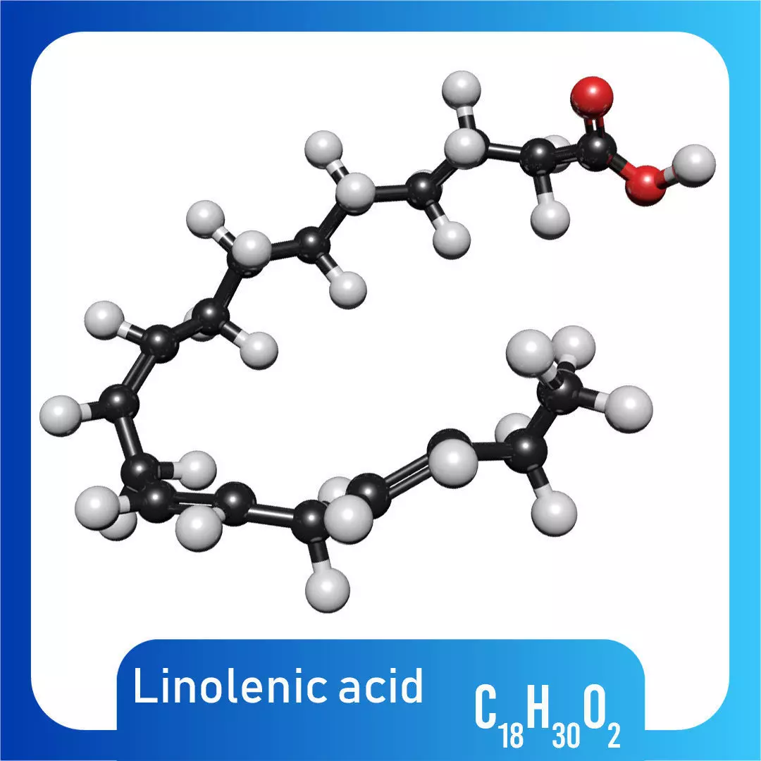lenolenic Acid 3D Model C18H30O2 3D model_0