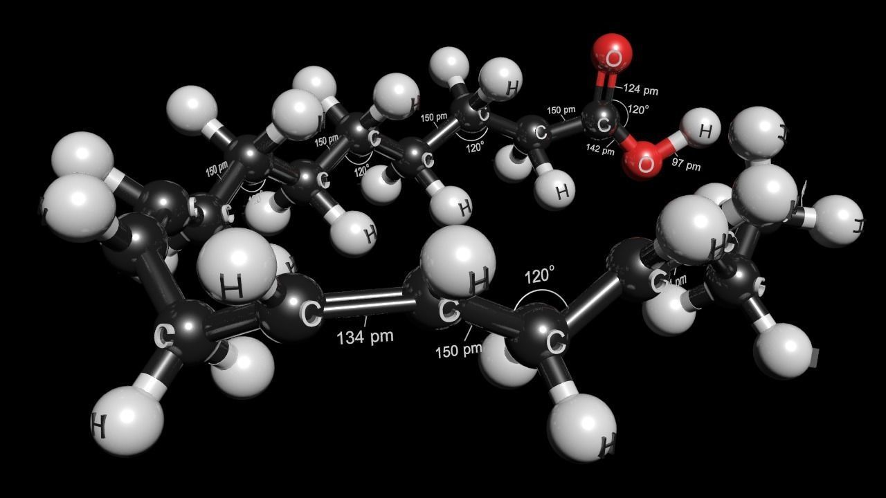 lenolenic Acid 3D Model C18H30O2 3D model_5
