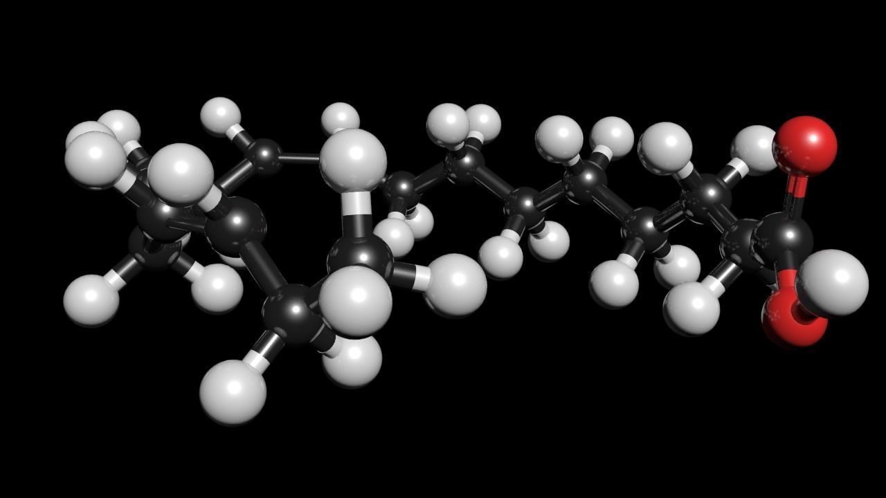 lenolenic Acid 3D Model C18H30O2 3D model_2