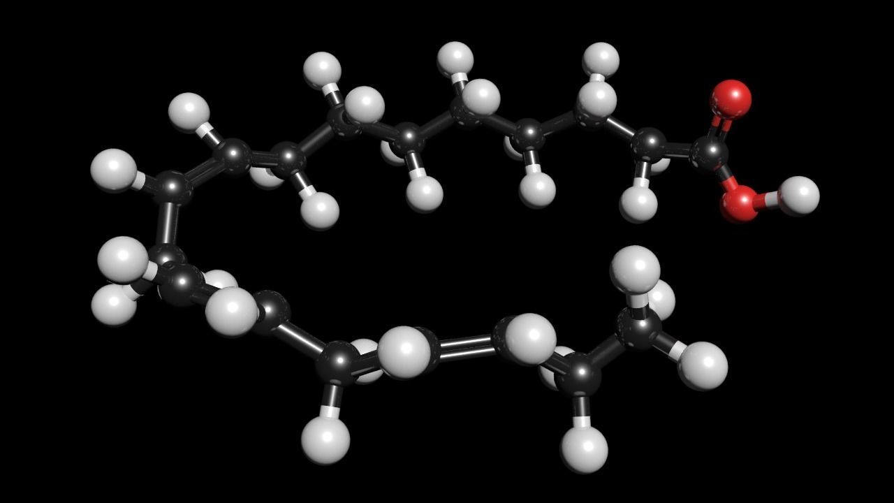 lenolenic Acid 3D Model C18H30O2 3D model_3