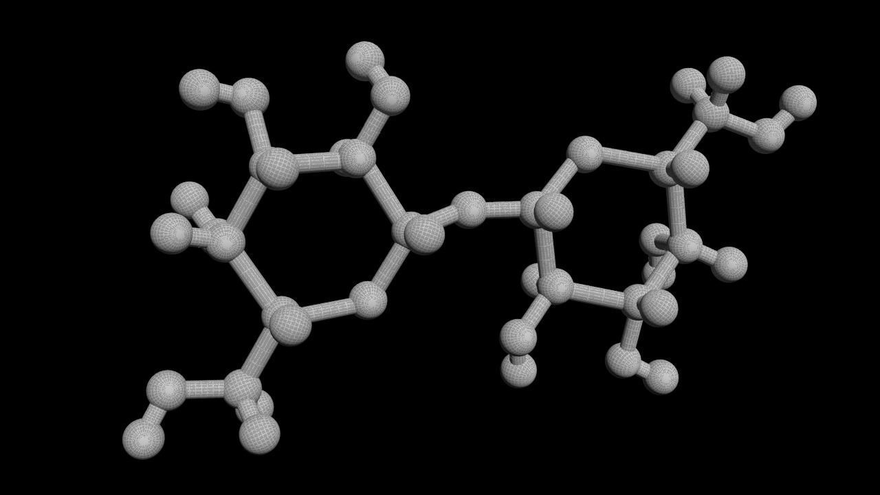 Maltose 3D Model C12H22O11 3D model_4