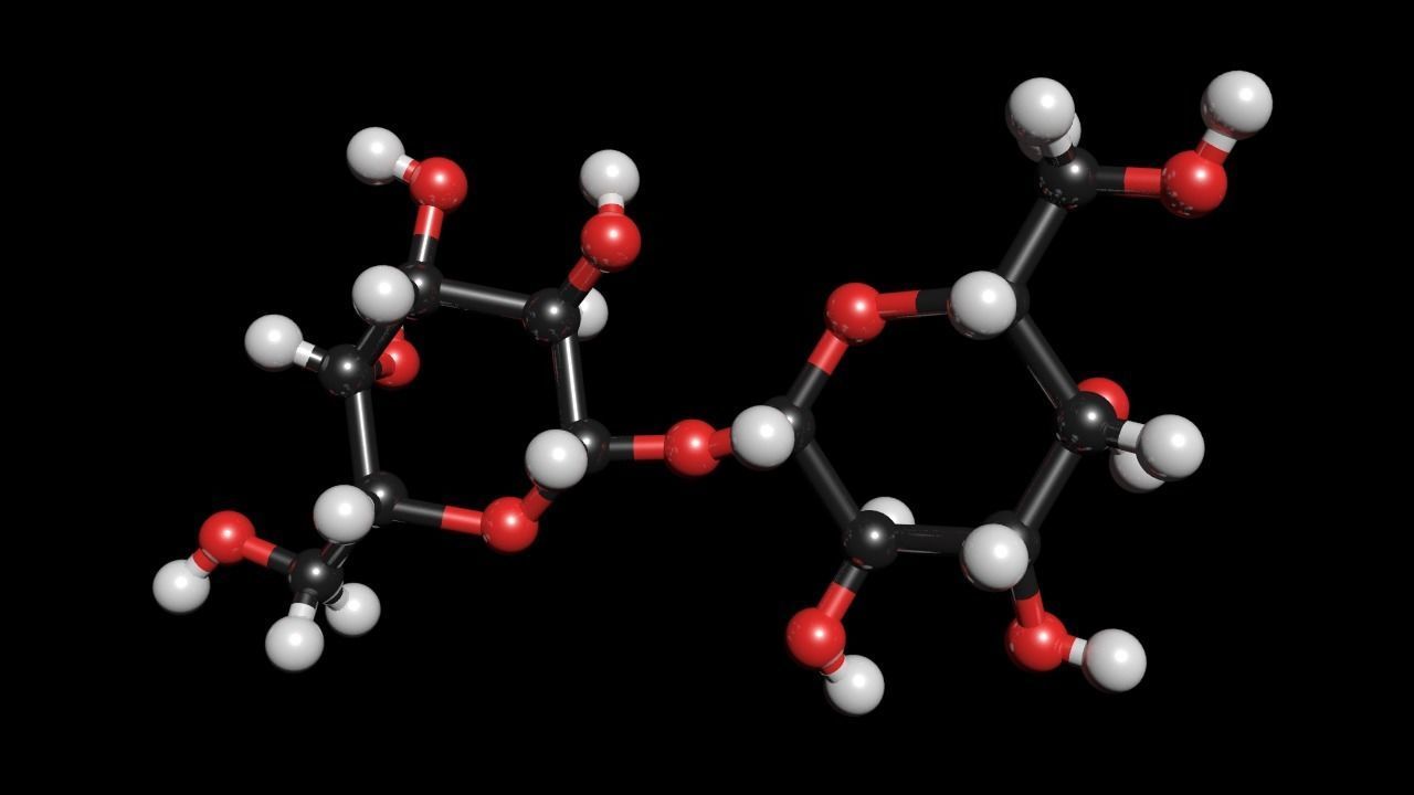 Maltose 3D Model C12H22O11 3D model_2