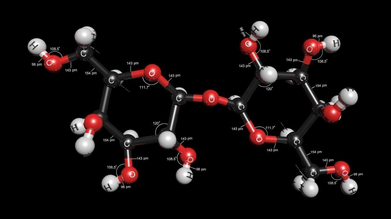 Maltose 3D Model C12H22O11 3D model_5