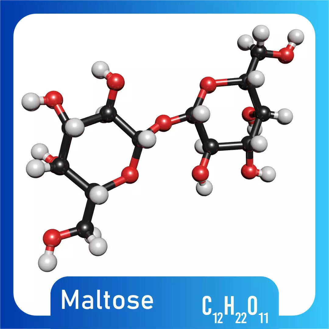 Maltose 3D Model C12H22O11 3D model_0