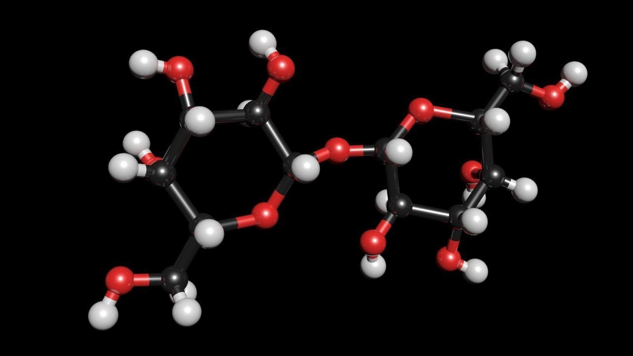 Maltose 3D Model C12H22O11 3D model_3