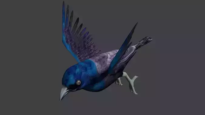 common grackle animated 3D model