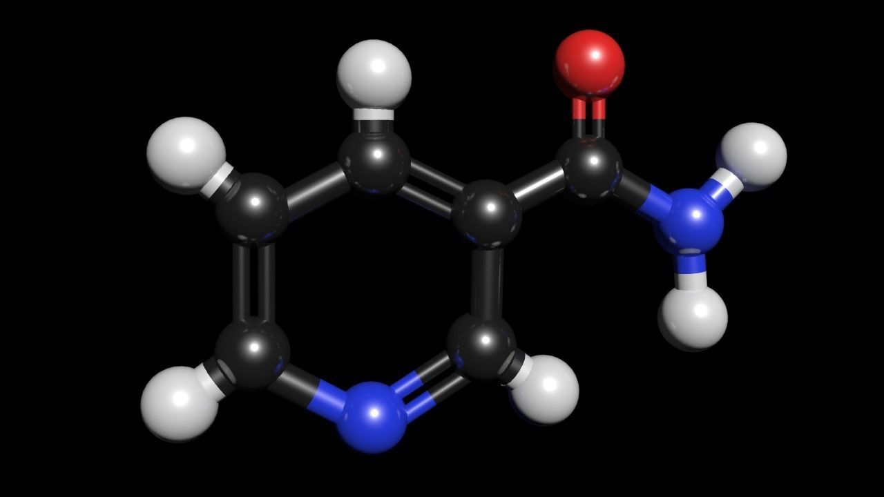 Nicotinamide 3D Model C6H6N2O 3D model_1