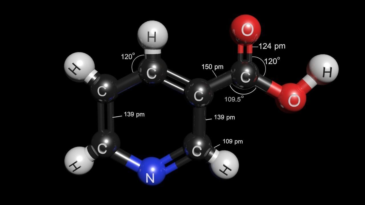 Nicotinic Acid 3D Model Niacin C6H5NO2 3D model_5