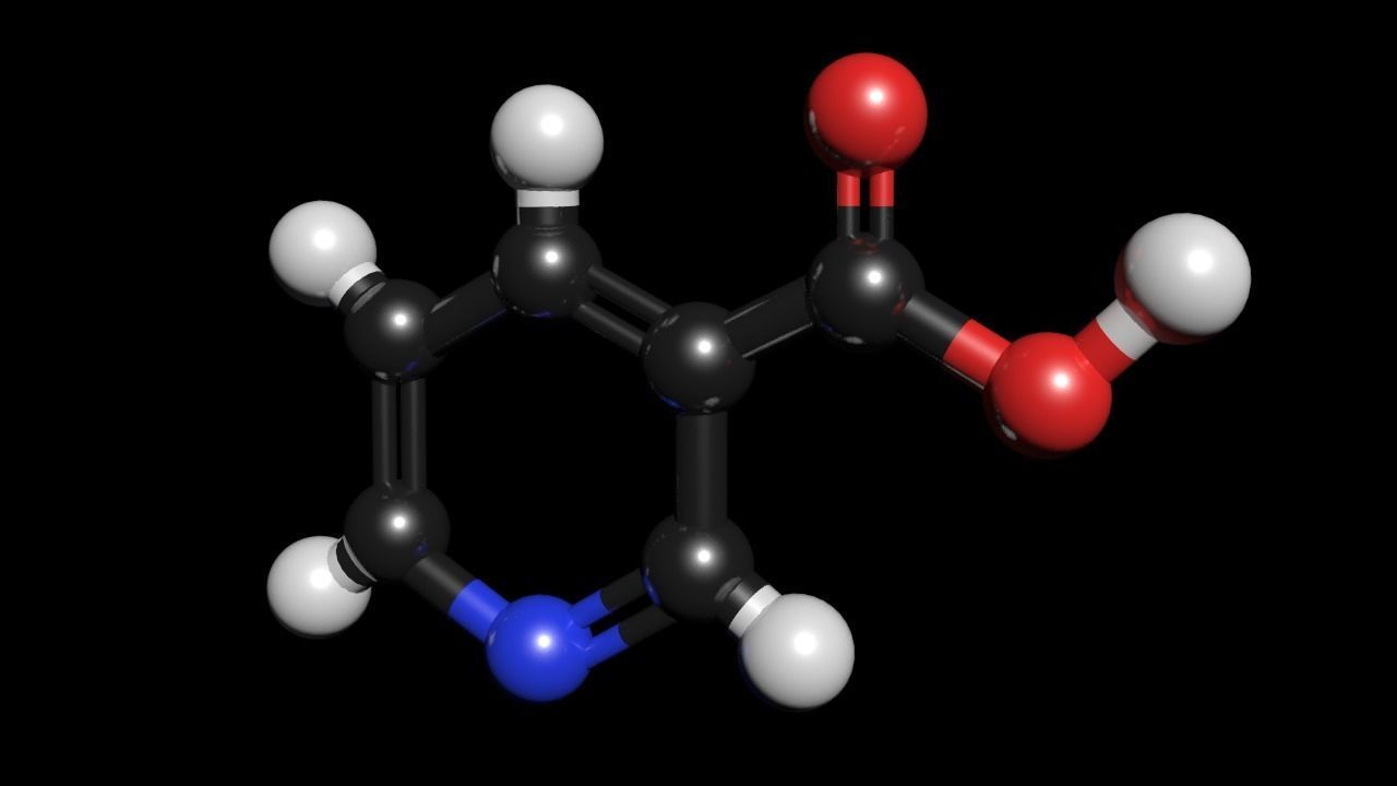 Nicotinic Acid 3D Model Niacin C6H5NO2 3D model_1