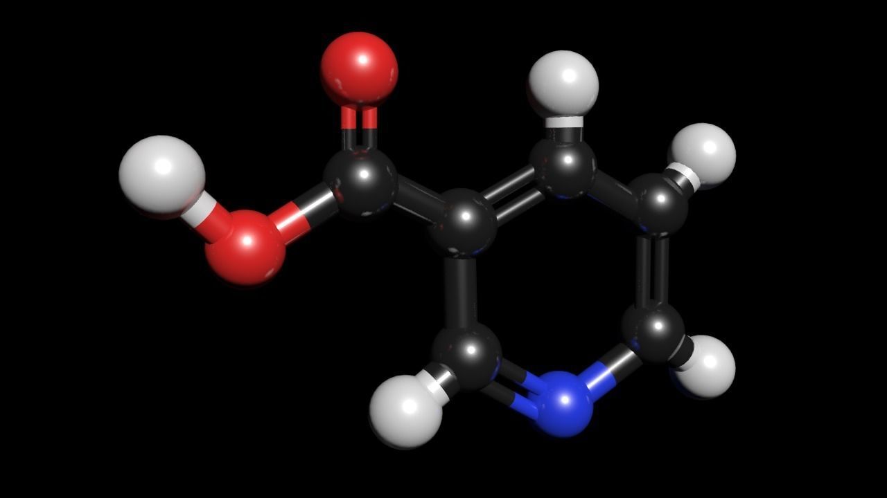 Nicotinic Acid 3D Model Niacin C6H5NO2 3D model_2