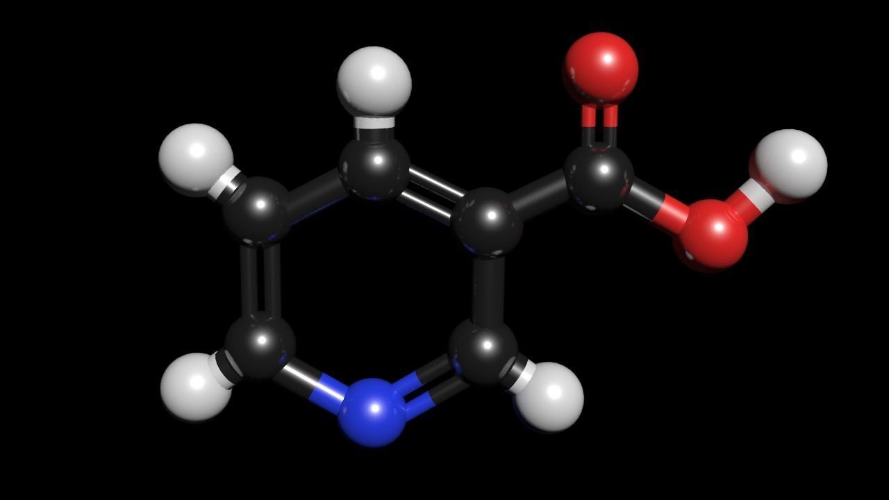 Nicotinic Acid 3D Model Niacin C6H5NO2 3D model_3