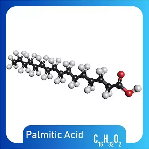 Palmitic Acid 3D Model C16H32O2
