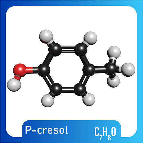 p-Cresol 3D Model C7H8O 3D model