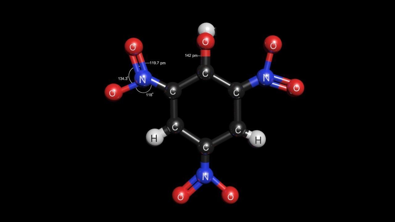 Picric acid 3D Model C16H32O2 3D model_5
