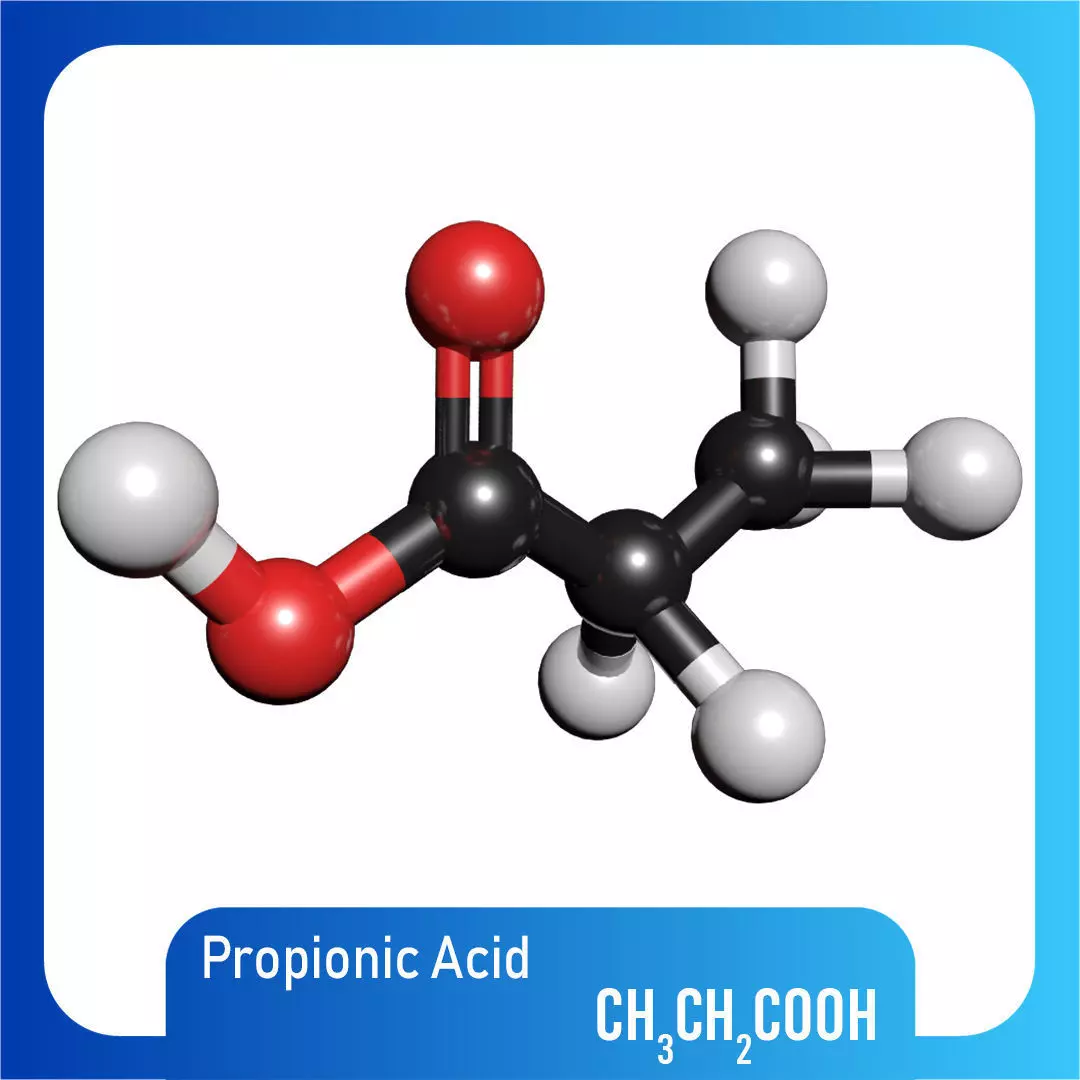 Propionic acid 3D Model CH3CH2COOH 3D model_0