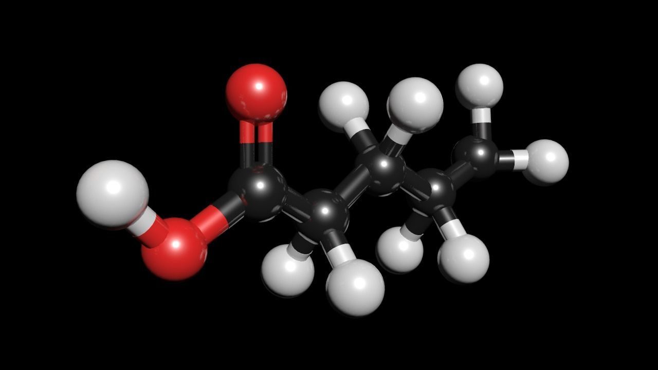 Valeric acid 3D Model C5H10O2 3D model_2
