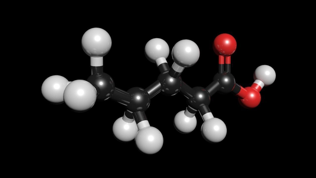 Valeric acid 3D Model C5H10O2 3D model_1