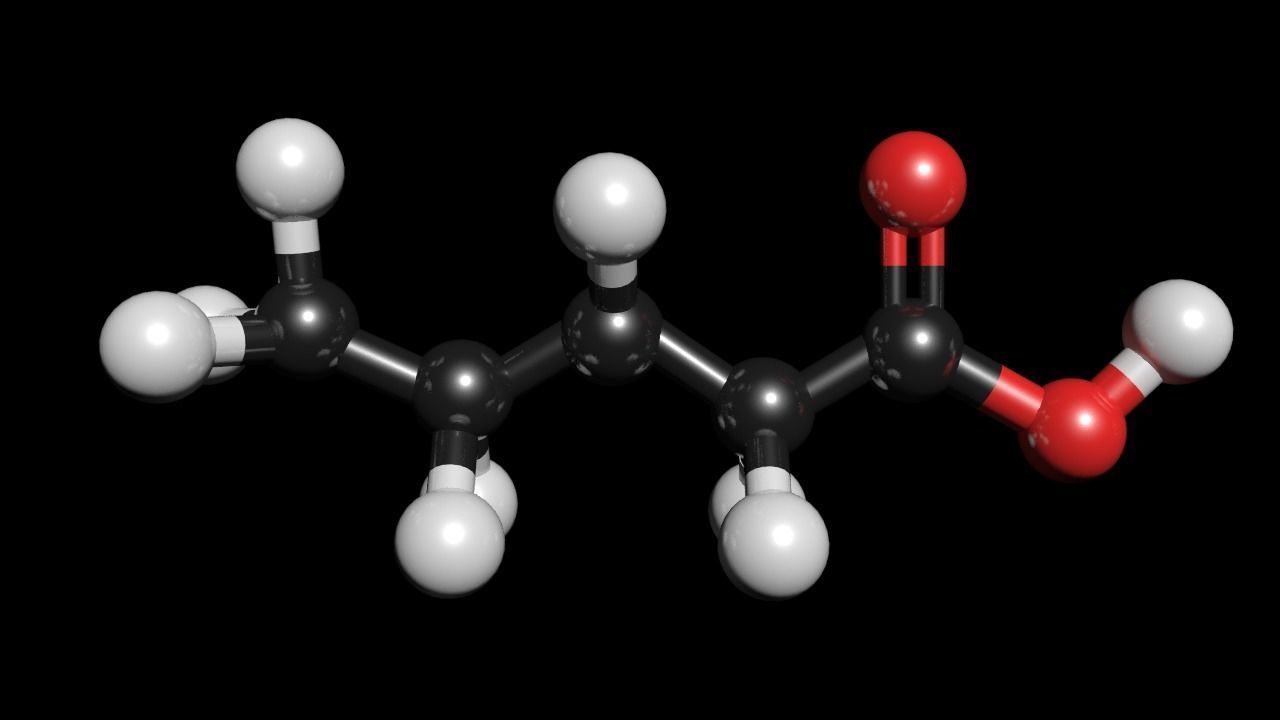 Valeric acid 3D Model C5H10O2 3D model_3