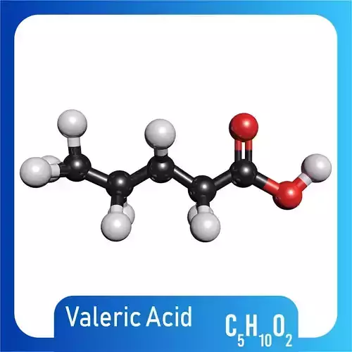 Valeric acid 3D Model C5H10O2