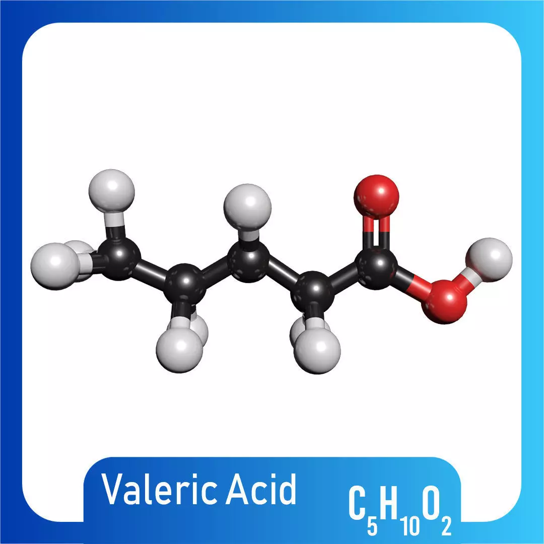 Valeric acid 3D Model C5H10O2 3D model_0