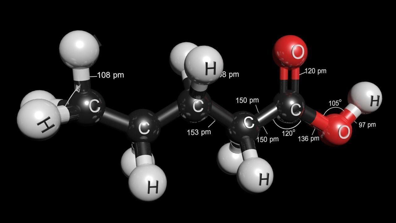 Valeric acid 3D Model C5H10O2 3D model_5