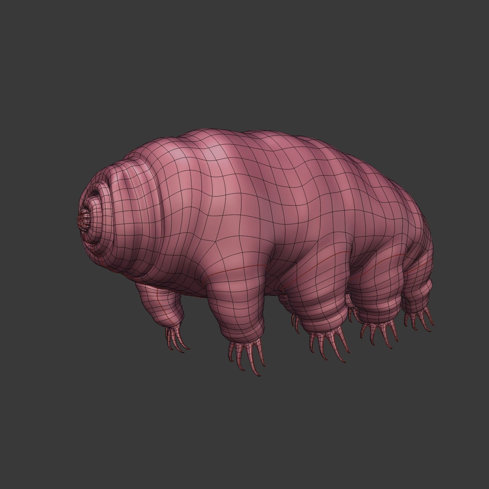 Tardigrade - Microscopic Water Bear - Moss Piglet Low-poly 3D model_5