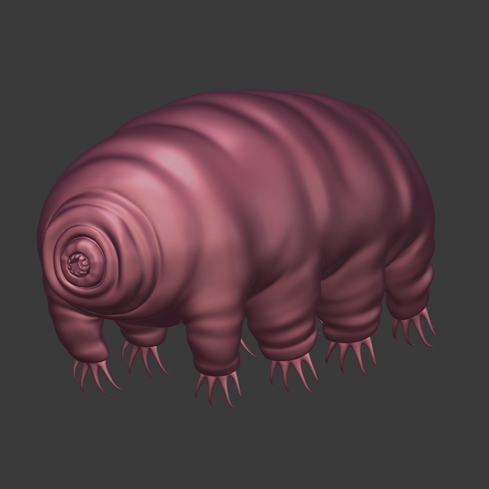 Tardigrade - Microscopic Water Bear - Moss Piglet Low-poly 3D model_6