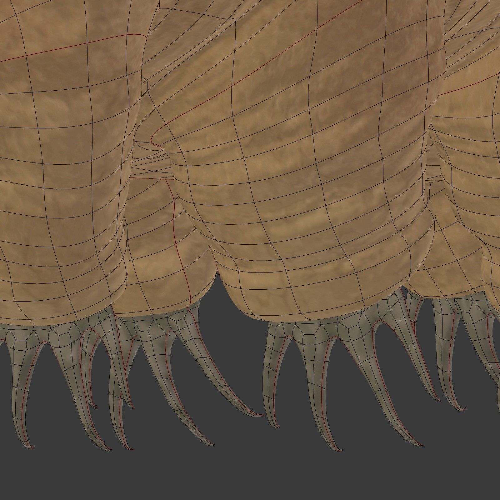 Tardigrade - Microscopic Water Bear - Moss Piglet Low-poly 3D model_24