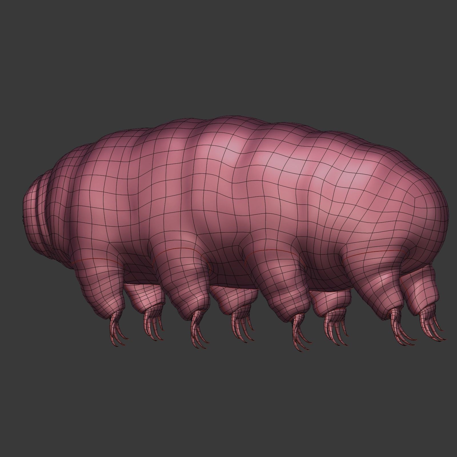 Tardigrade - Microscopic Water Bear - Moss Piglet Low-poly 3D model_13