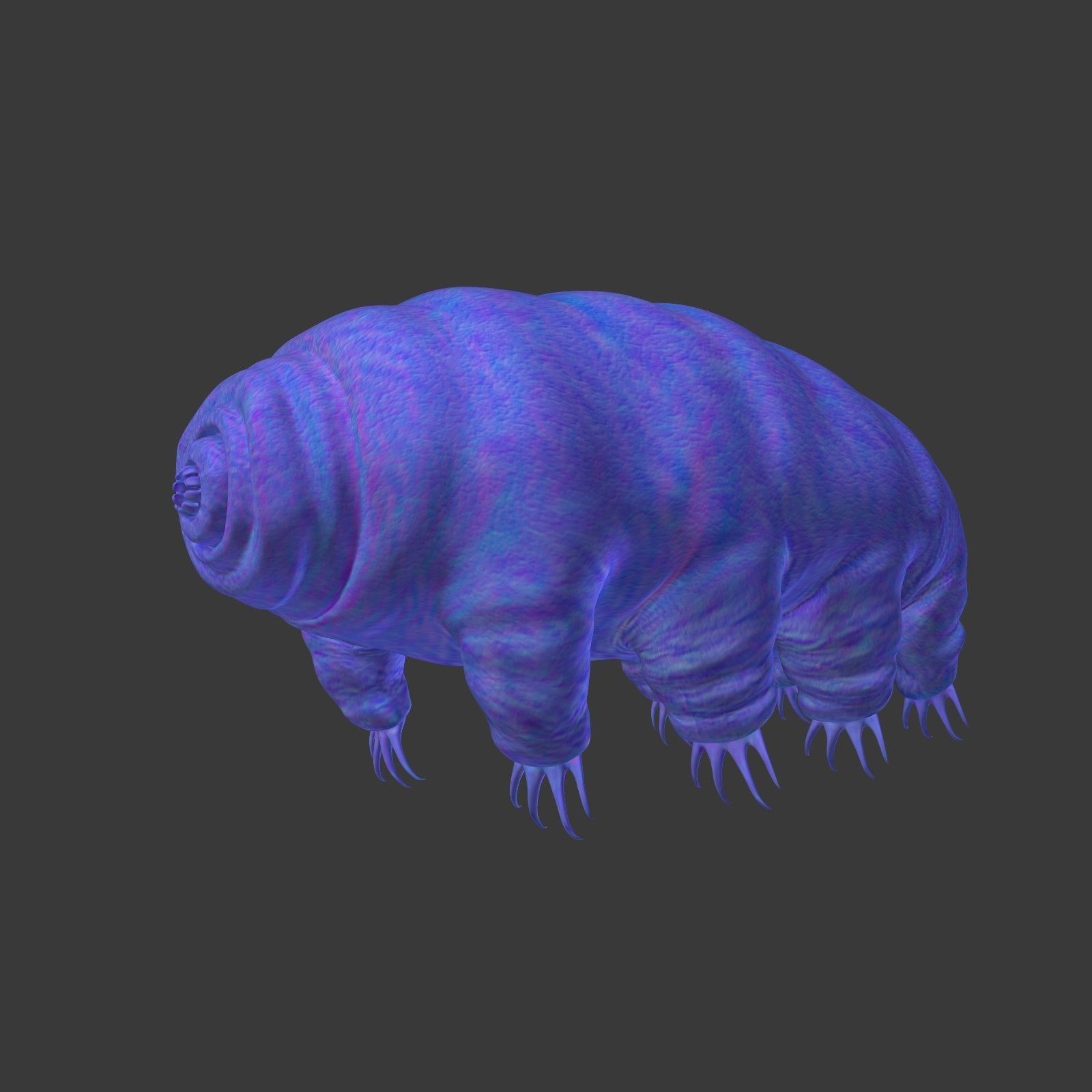 Tardigrade - Microscopic Water Bear - Moss Piglet Low-poly 3D model_2