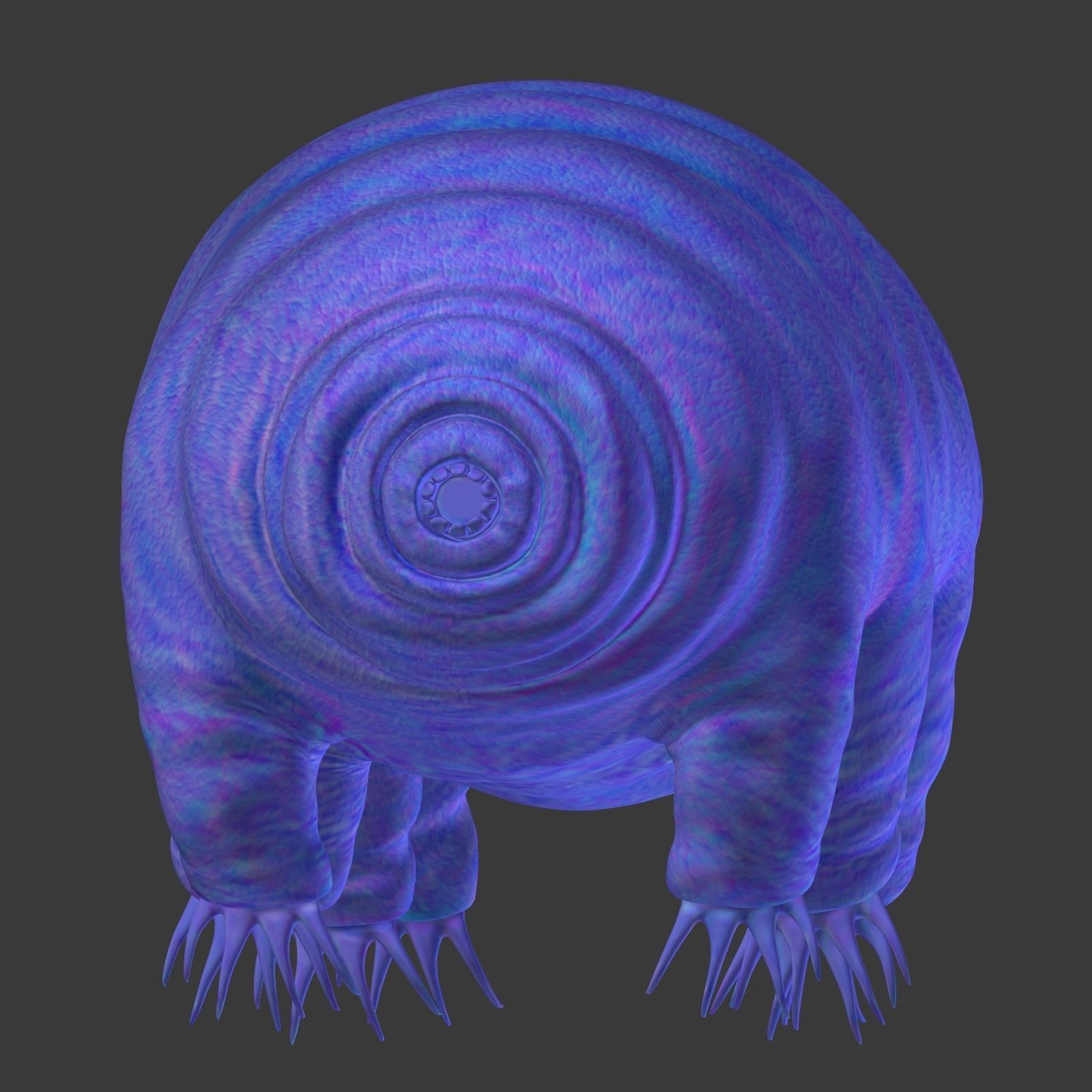 Tardigrade - Microscopic Water Bear - Moss Piglet Low-poly 3D model_11