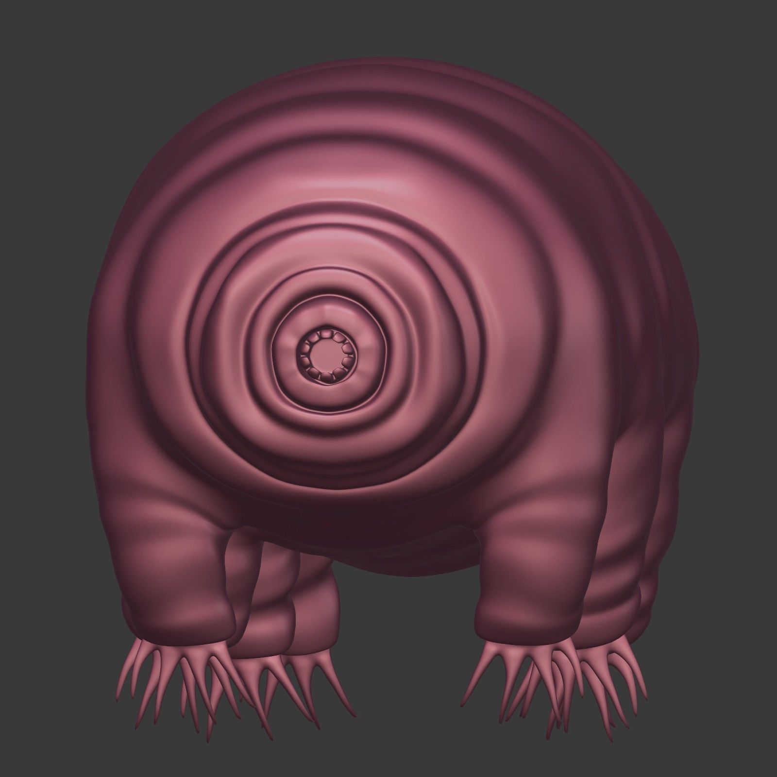 Tardigrade - Microscopic Water Bear - Moss Piglet Low-poly 3D model_8