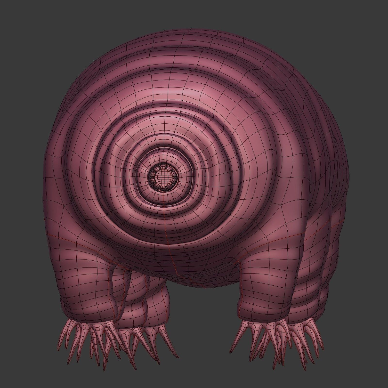 Tardigrade - Microscopic Water Bear - Moss Piglet Low-poly 3D model_9